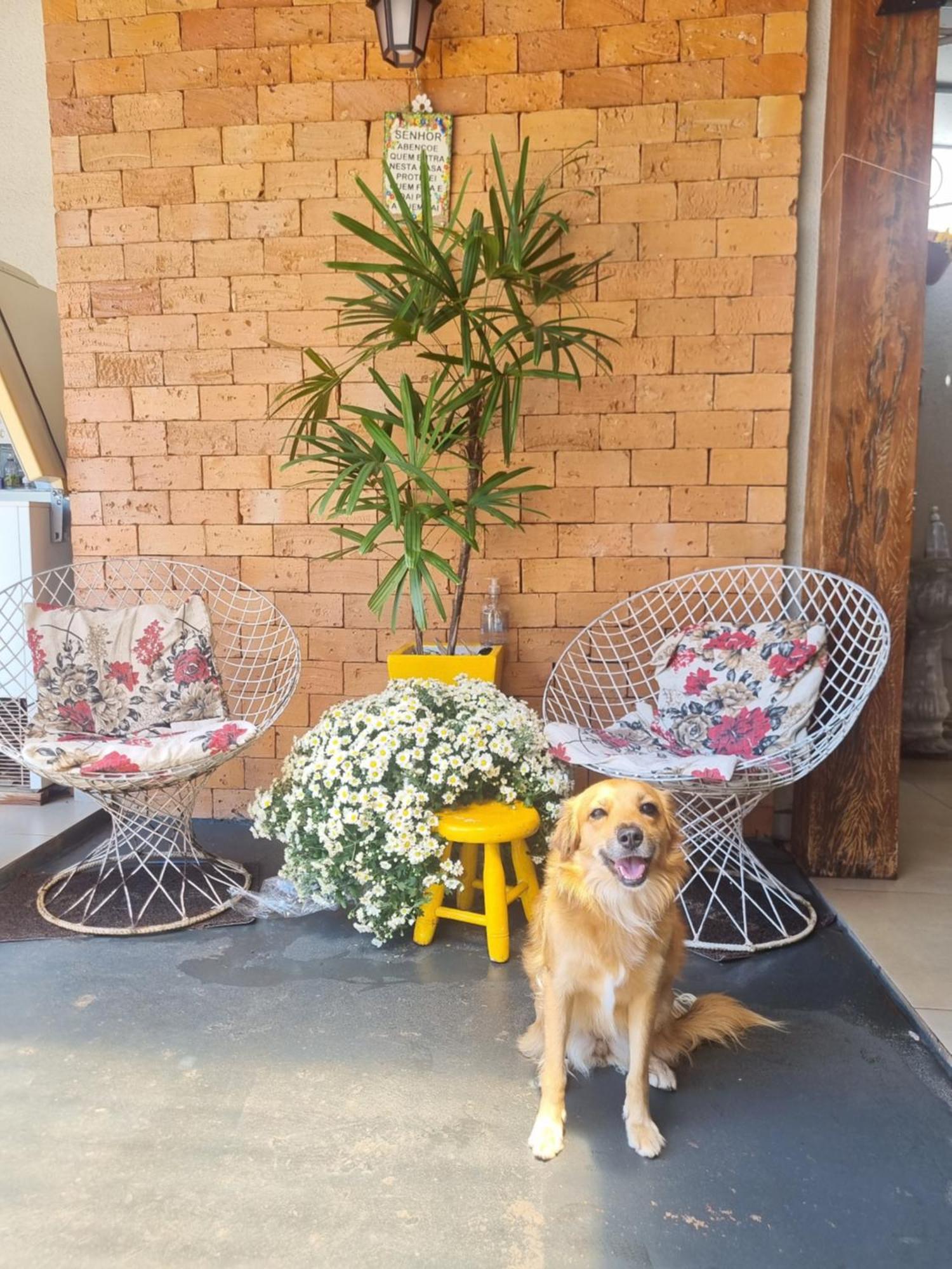 Homestay E Italian Garden House